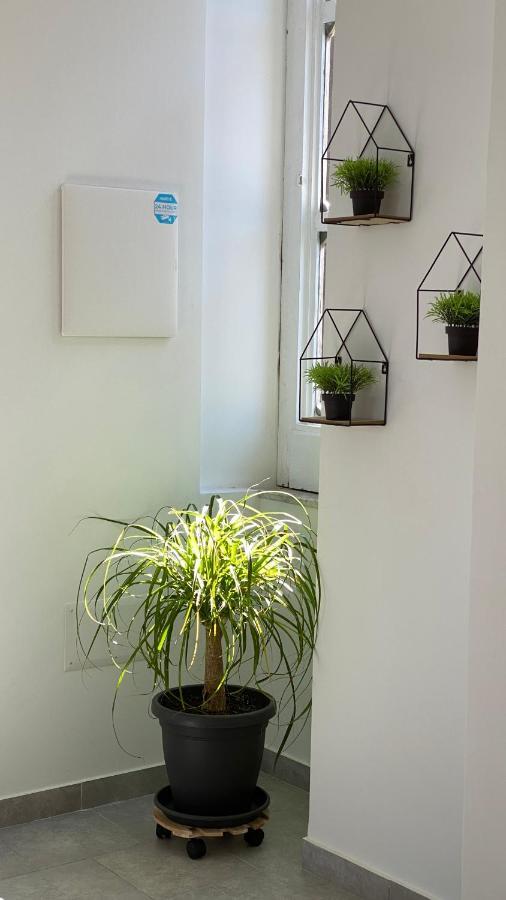 The Roof Garden - Bed&Breakfast Frattamaggiore Esterno foto